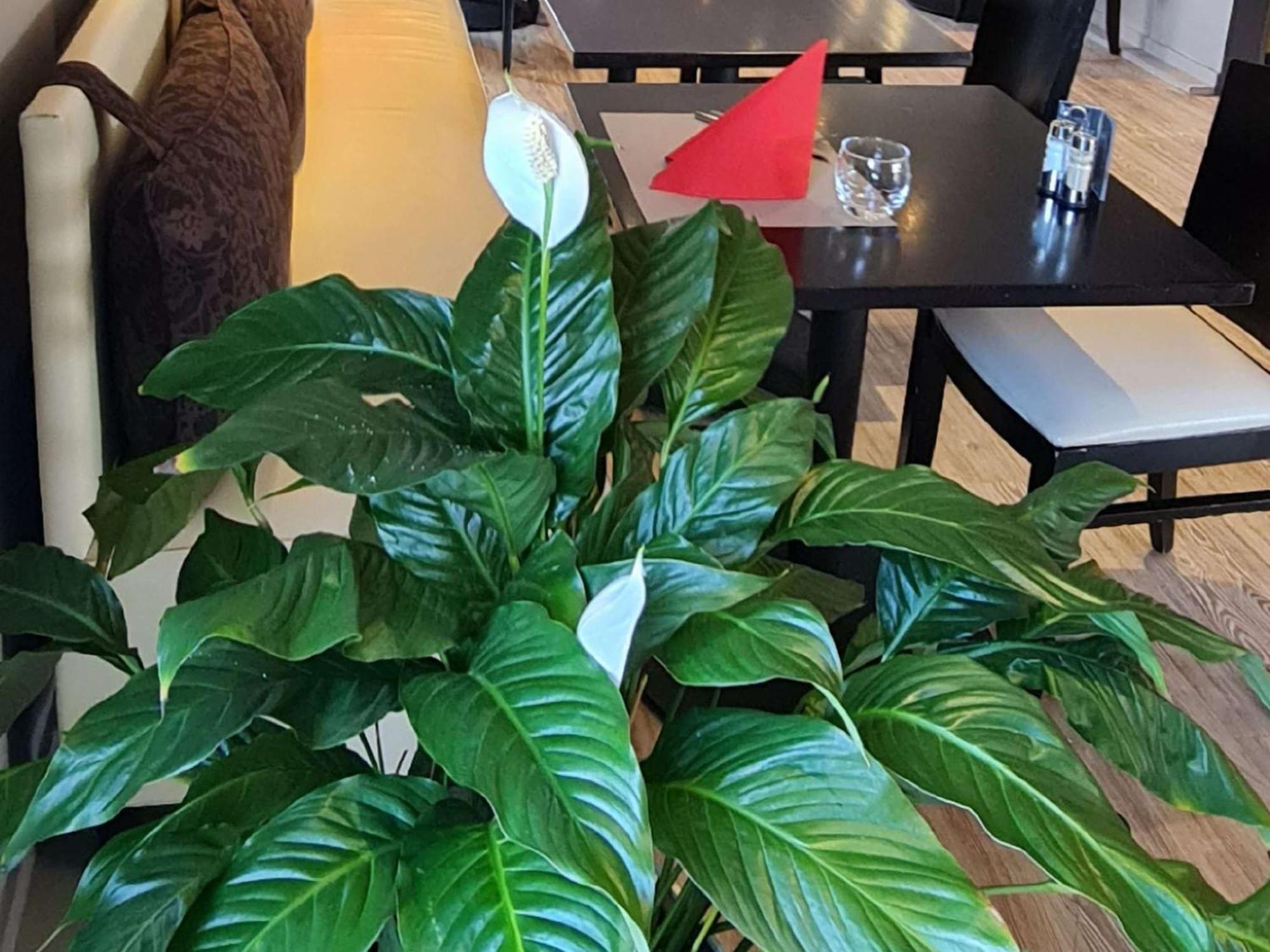 Ibis Vannes Dış mekan fotoğraf